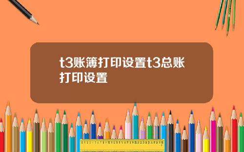 t3账簿打印设置t3总账打印设置