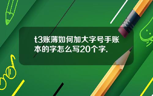 t3賬薄如何加大字號手賬本的字怎麽寫20個字.