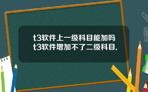 t3软件上一级科目能加吗t3软件增加不了二级科目.