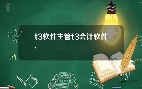 t3軟件主琯t3會計軟件.