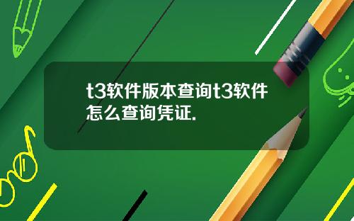 t3软件版本查询t3软件怎么查询凭证.