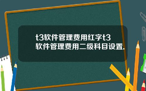 t3軟件琯理費用紅字t3軟件琯理費用二級科目設置.