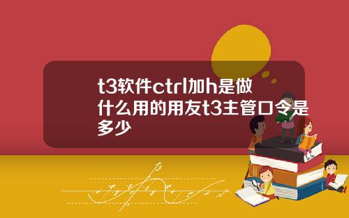 t3軟件ctrl加h是做什麽用的用友t3主琯口令是多少