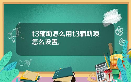 t3辅助怎么用t3辅助项怎么设置.