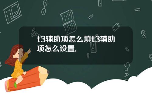 t3辅助项怎么填t3辅助项怎么设置.