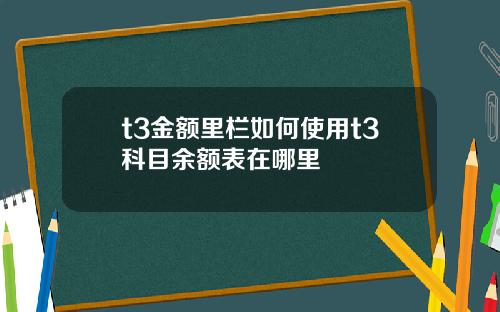 t3金额里栏如何使用t3科目余额表在哪里