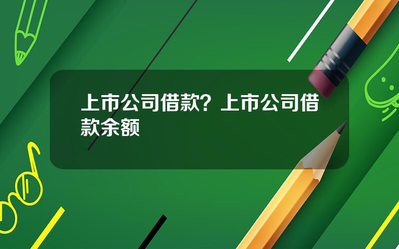 上市公司借款？上市公司借款余额