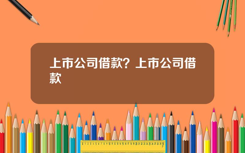 上市公司借款？上市公司借款餘額