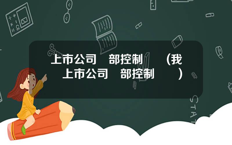 上市公司內部控制讅計(我國上市公司內部控制現狀)