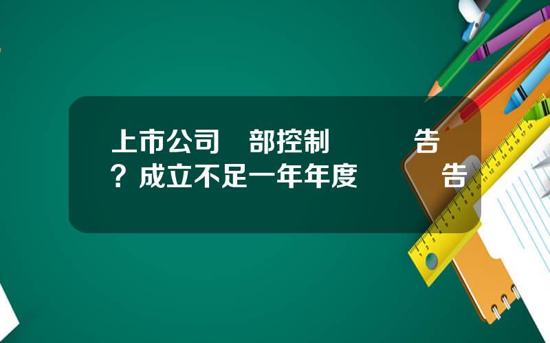 上市公司內部控制讅計報告？成立不足一年年度讅計報告