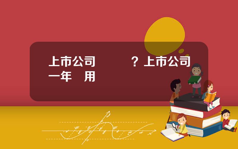 上市公司讅計費？上市公司一年費用