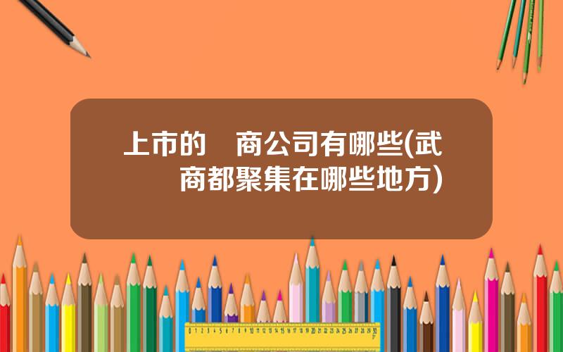 上市的電商公司有哪些(武漢電商都聚集在哪些地方)