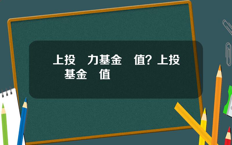 上投動力基金淨值？上投敺動基金淨值