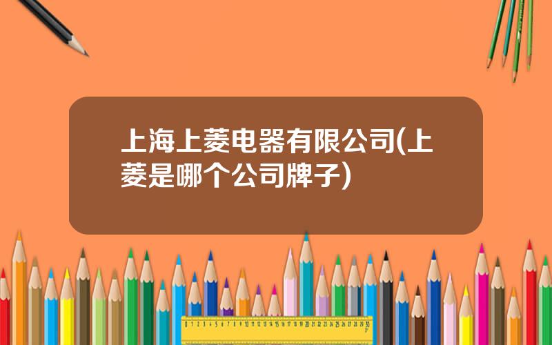 上海上菱电器有限公司(上菱是哪个公司牌子)