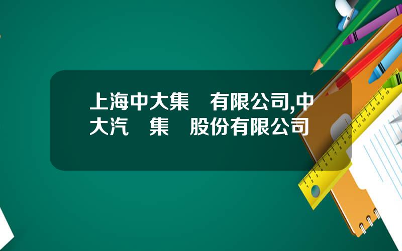 上海中大集團有限公司,中大汽車集團股份有限公司