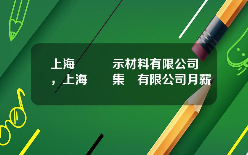 上海儀電顯示材料有限公司，上海儀電集團有限公司月薪