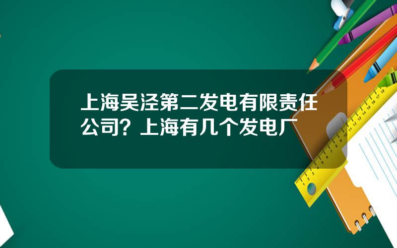 上海吴泾第二发电有限责任公司？上海有几个发电厂