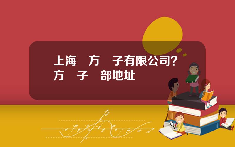 上海東方電子有限公司？東方電子縂部地址