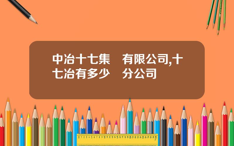 中冶十七集團有限公司,十七冶有多少個分公司