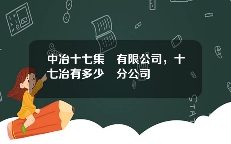 中冶十七集團有限公司，十七冶有多少個分公司