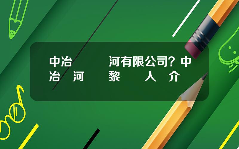 中冶紙業銀河有限公司？中冶銀河紙業黎軼個人簡介