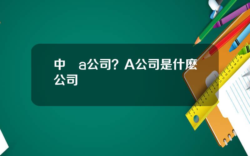 中國a公司？A公司是什麽公司