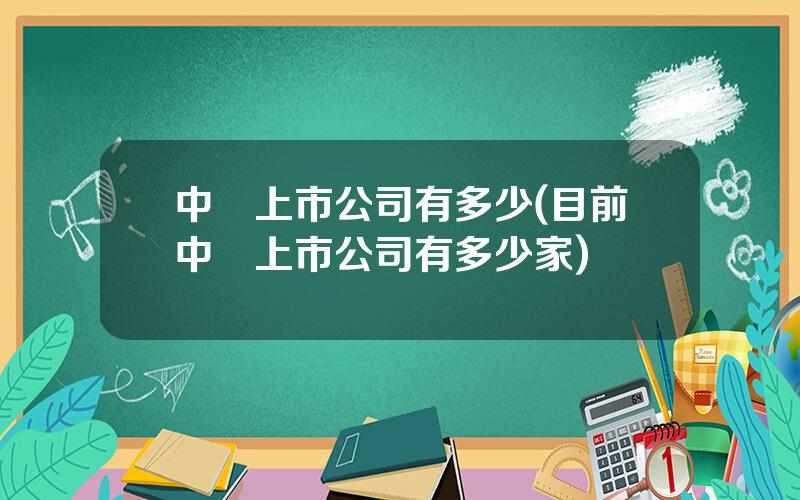 中國上市公司有多少(目前中國上市公司有多少家)