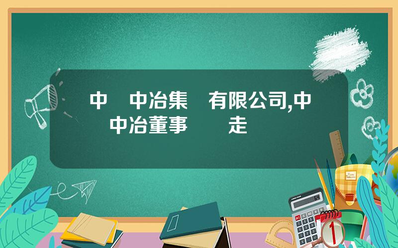 中國中冶集團有限公司,中國中冶董事長調走