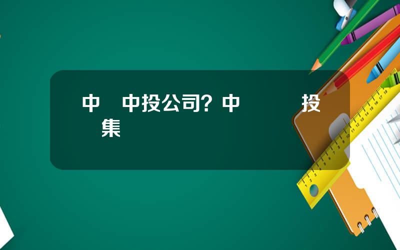 中國中投公司？中國國際投資集團