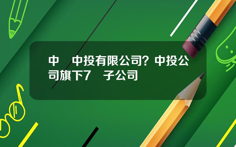 中國中投有限公司？中投公司旗下7個子公司