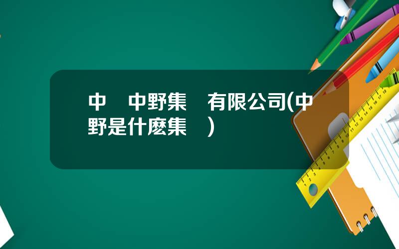 中國中野集團有限公司(中野是什麽集團)