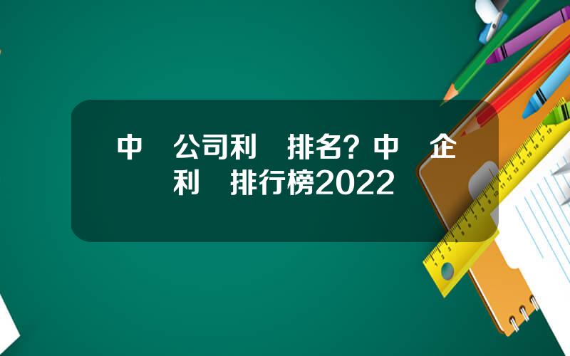 中國公司利潤排名？中國企業淨利潤排行榜2022