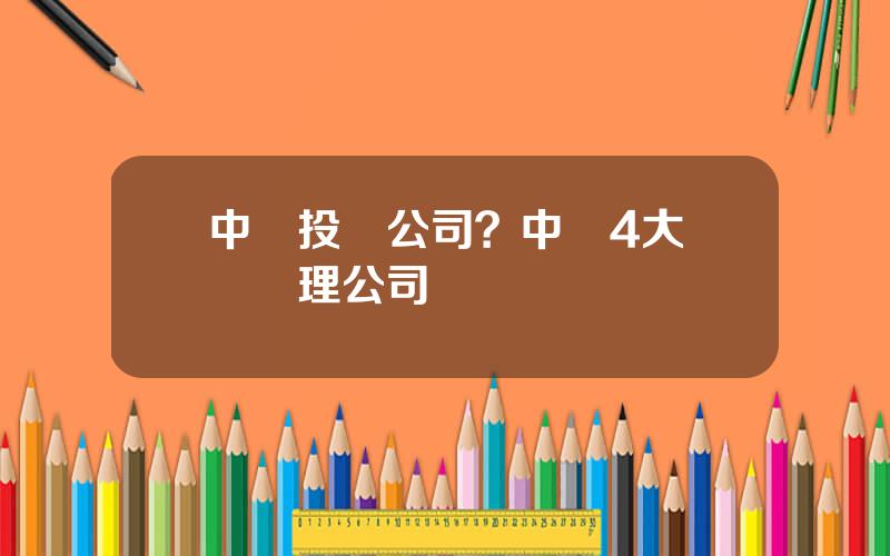中國投資公司？中國4大資産琯理公司