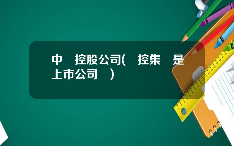 中國控股公司(萬控集團是上市公司嗎)