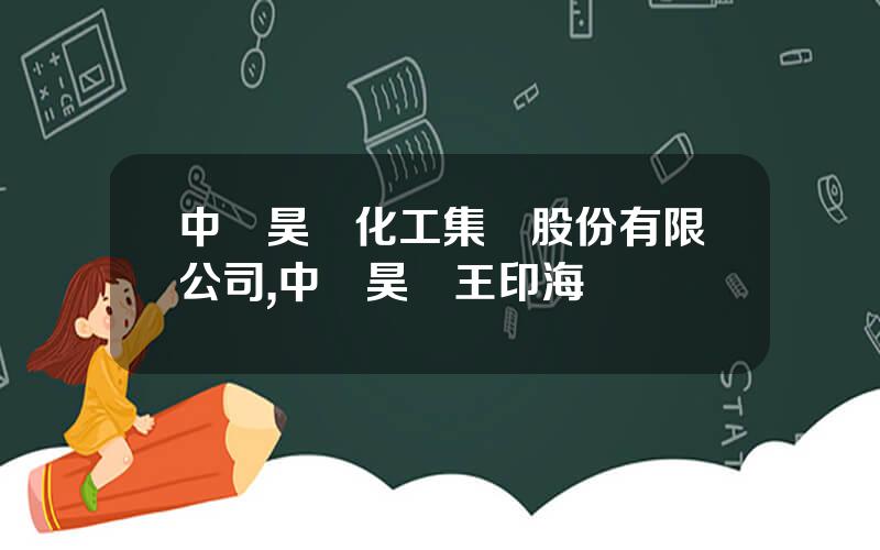中國昊華化工集團股份有限公司,中國昊華王印海