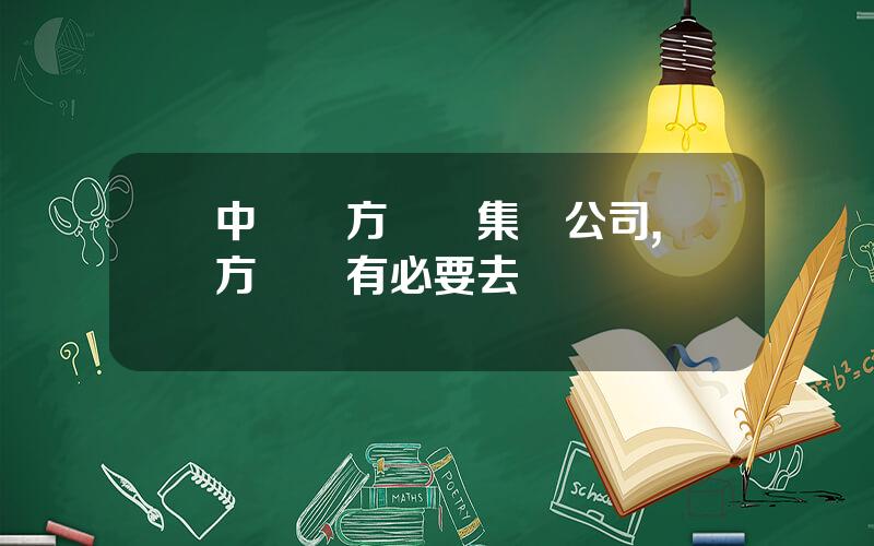 中國東方電氣集團公司,東方電氣有必要去嗎