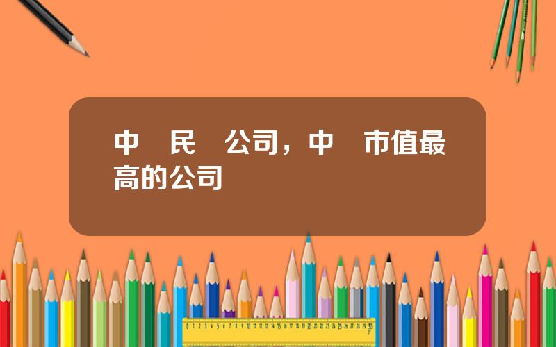 中國民營公司，中國市值最高的公司