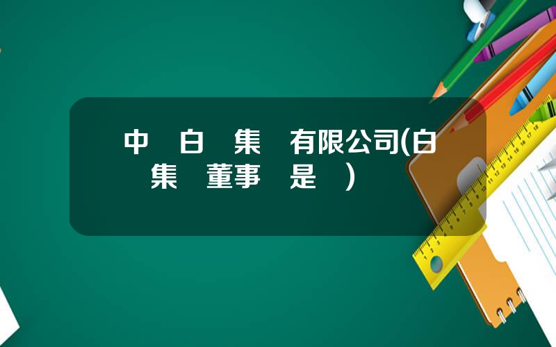 中國白銀集團有限公司(白銀集團董事長是誰)