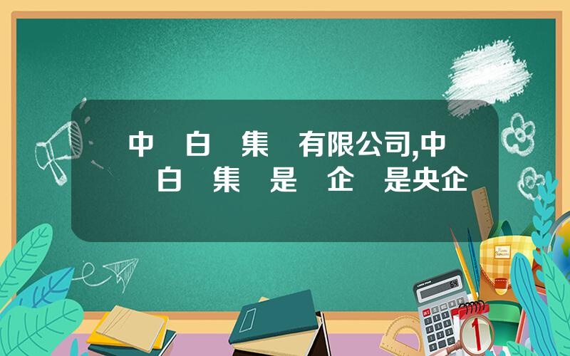 中國白銀集團有限公司,中國白銀集團是國企還是央企