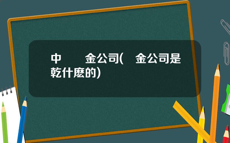中國証金公司(証金公司是乾什麽的)