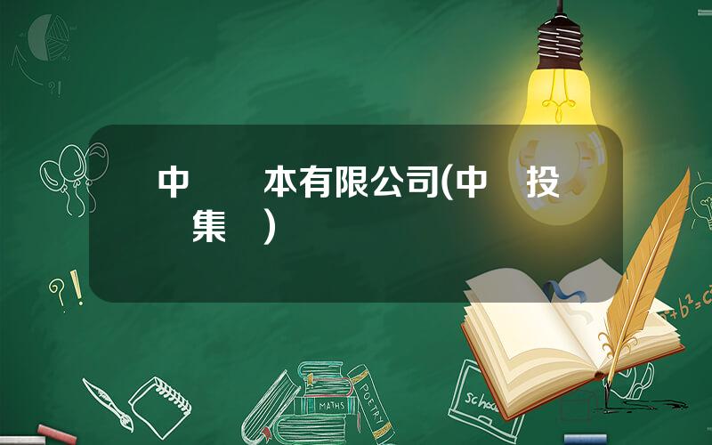 中國資本有限公司(中國投資集團)