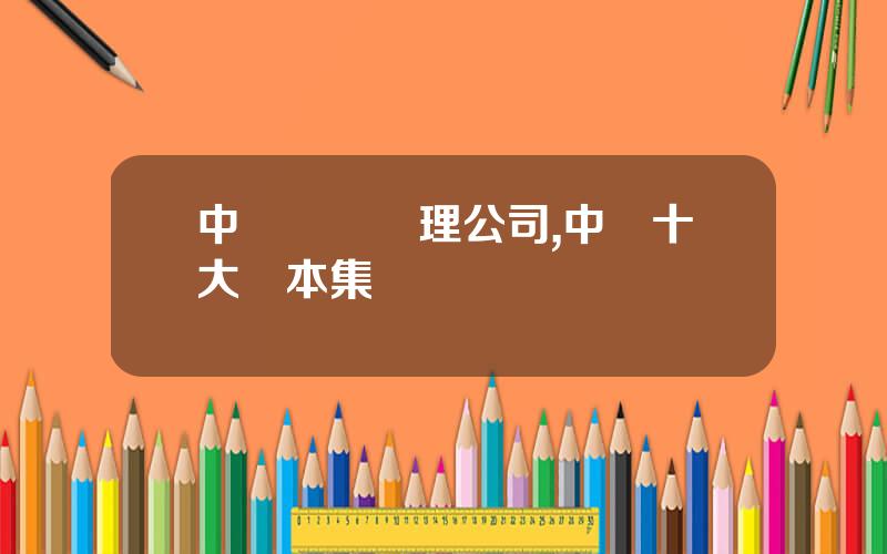 中國資産琯理公司,中國十大資本集團