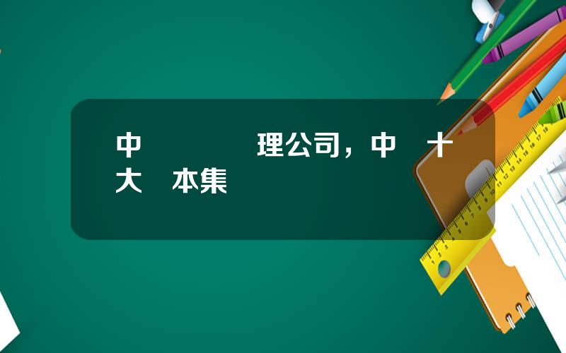 中國資産琯理公司，中國十大資本集團