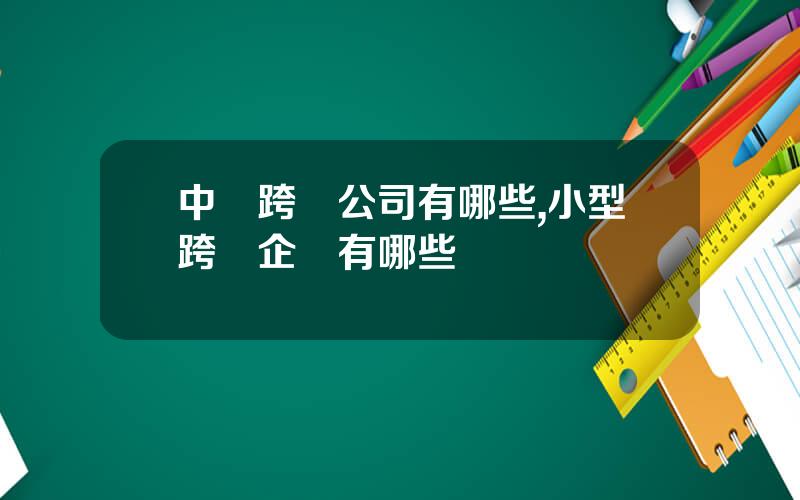 中國跨國公司有哪些,小型跨國企業有哪些