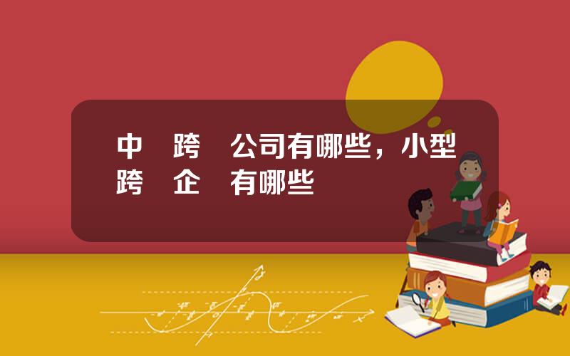 中國跨國公司有哪些，小型跨國企業有哪些