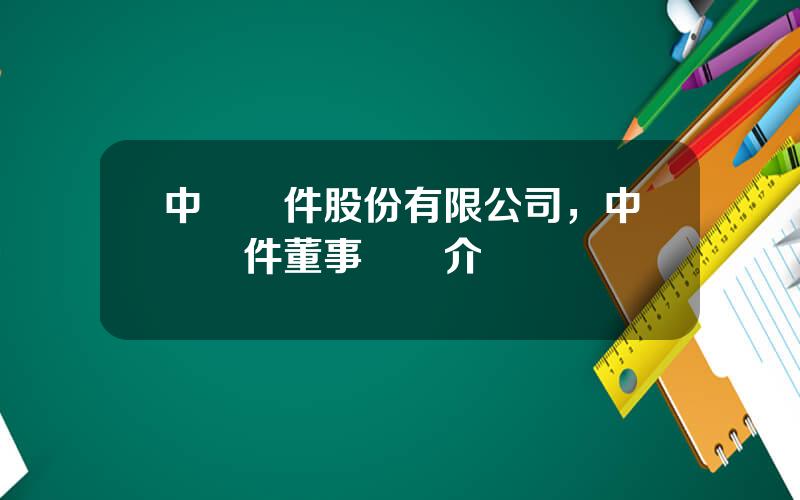 中國軟件股份有限公司，中國軟件董事長簡介