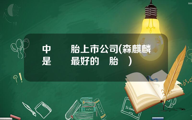 中國輪胎上市公司(森麒麟是國內最好的輪胎嗎)