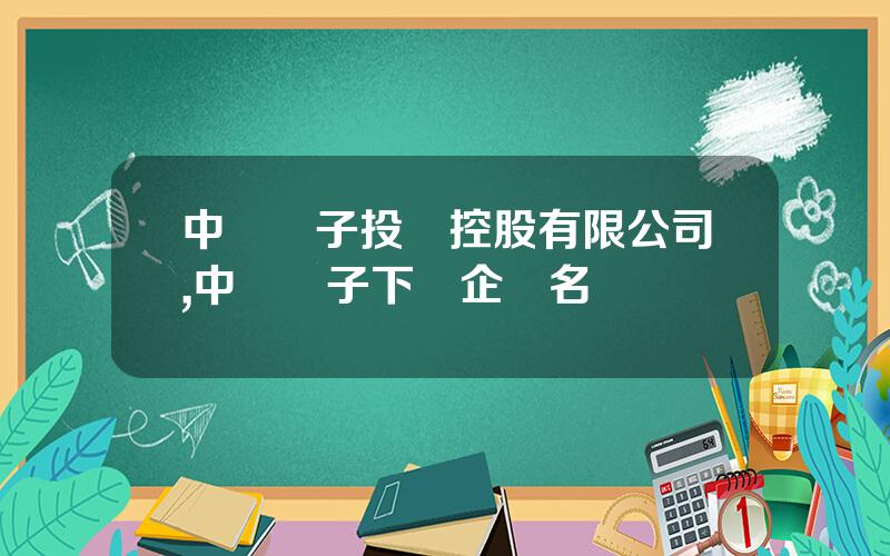 中國電子投資控股有限公司,中國電子下屬企業名單