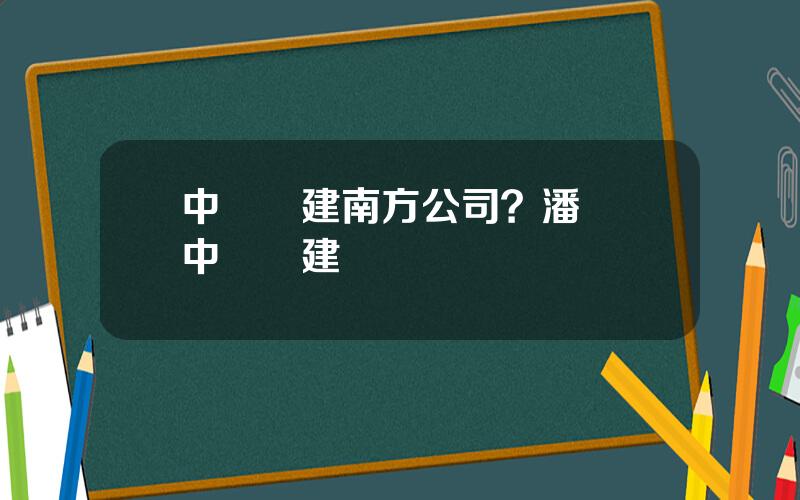 中國電建南方公司？潘繼錄中國電建