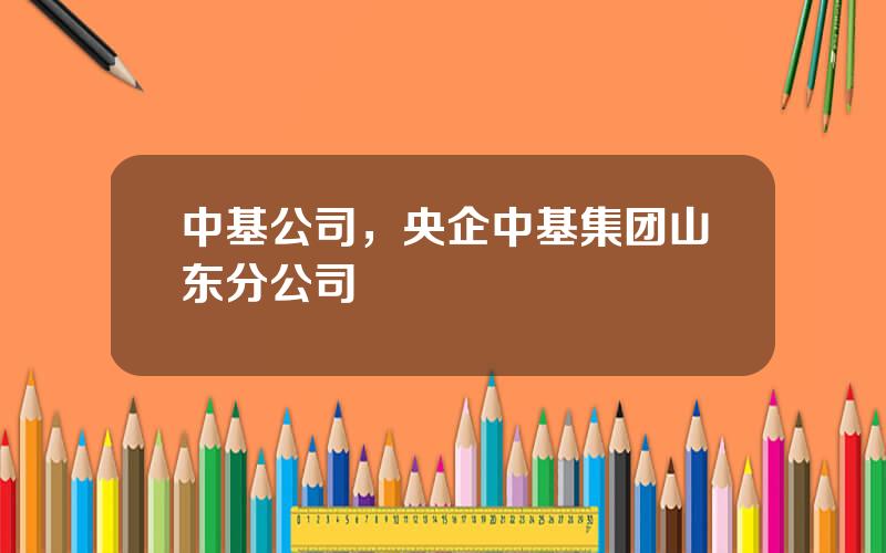 中基公司，央企中基集团山东分公司